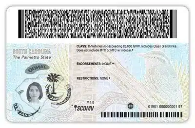 Back of the new South Carolina driver's license